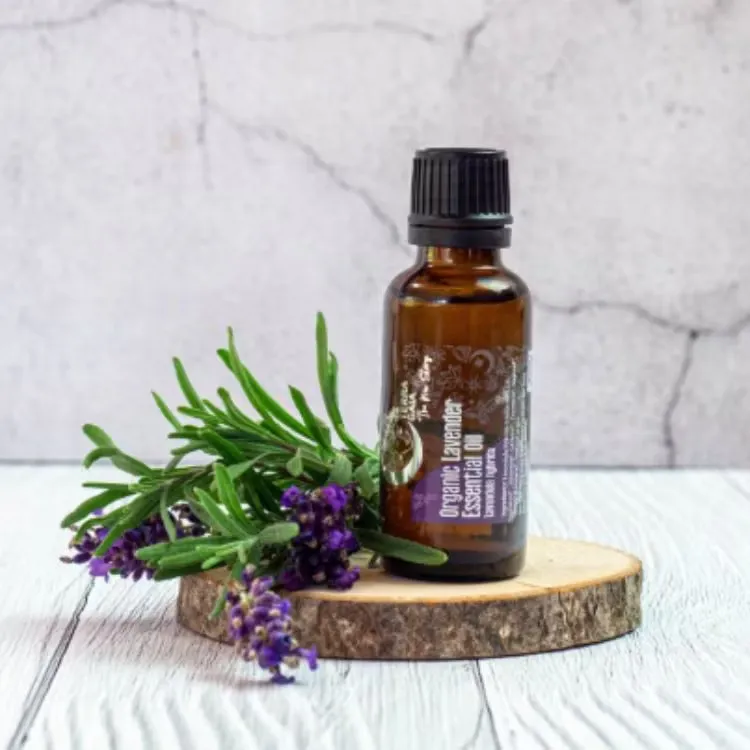 Eterisk olja Organic Lavender 10ml – Terra Gaia