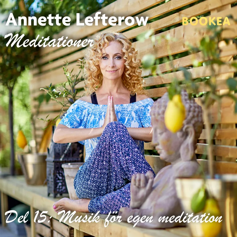 Musik för egen meditation, Ljudbok