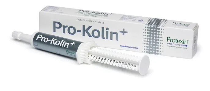 Pro-Kolin+ oral pasta 15 ml