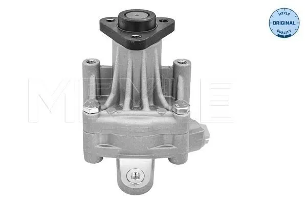 Servopump MEYLE 114 631 0047