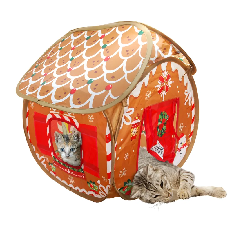 Kattgrotta
