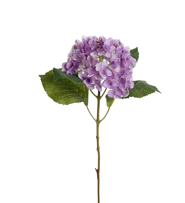 Hortensia Lila – 40 cm