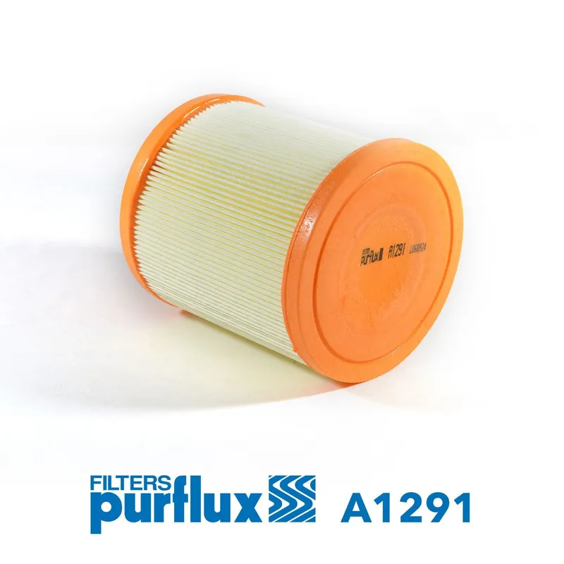 Luftfilter PURFLUX A1291