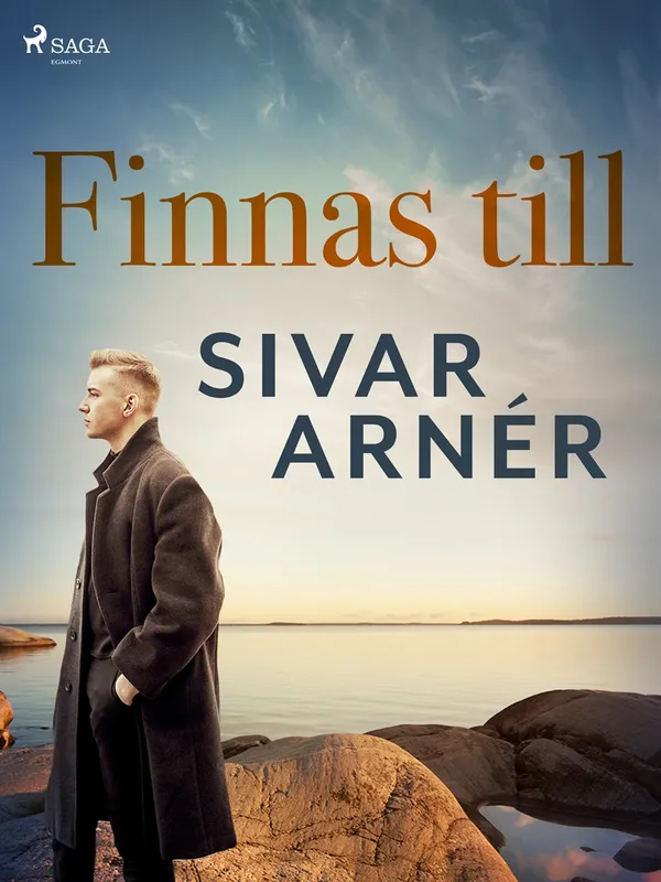 Finnas till, E-bok