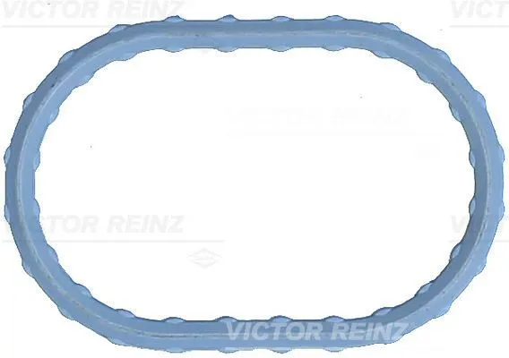 Insugspackning REINZ 71-17498-00