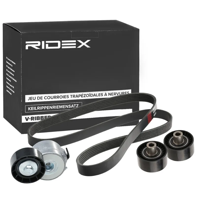 Drivremssats RIDEX 542R0670