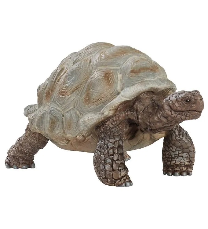 schleich® WILD LIFE Jättesköldpadda 14824 – Schleich – Leksaksaffären