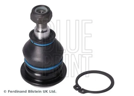 Spindelled BLUE PRINT ADG086121