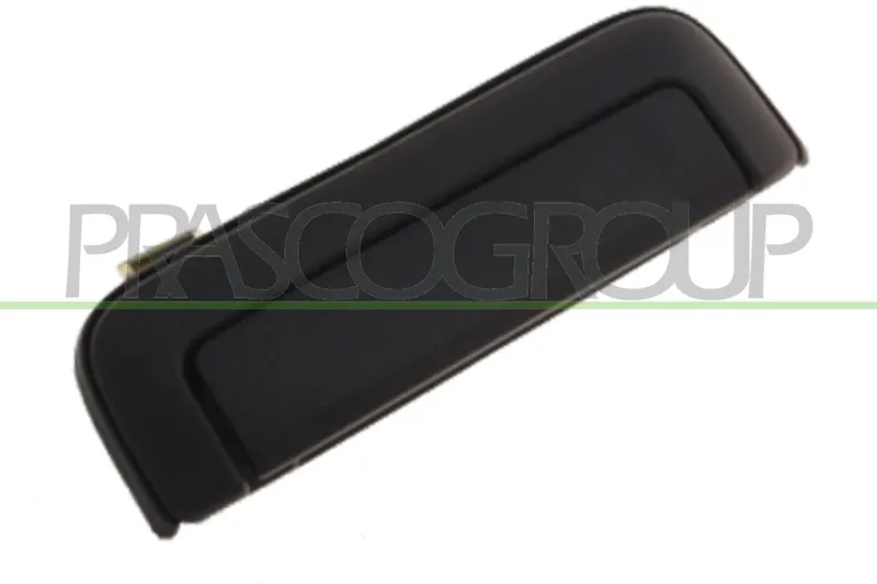 Dörrhandtag PRASCO MB8158001
