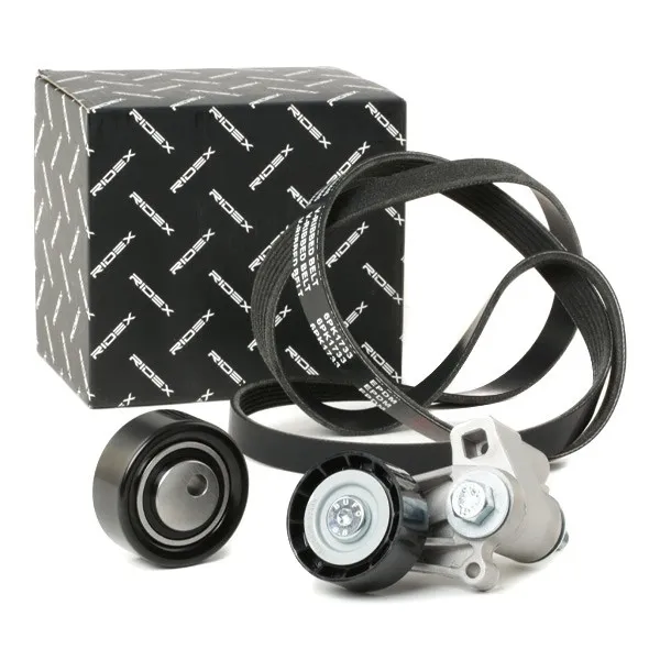 Drivremssats RIDEX 542R0698