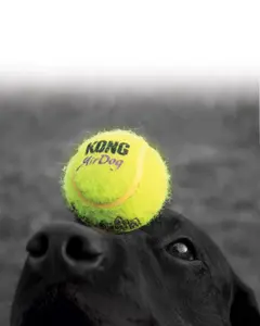 KONG SqueakAir Ball L 8cm (1-Pack)
