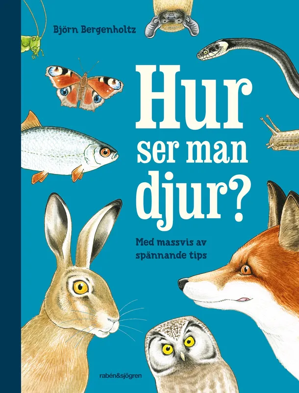 Hur ser man djur? : en upptäckarbok för nyfikna, E-bok
