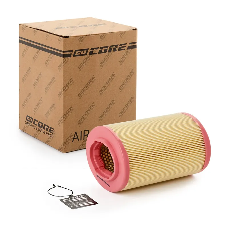 Luftfilter goCORE GCH0216