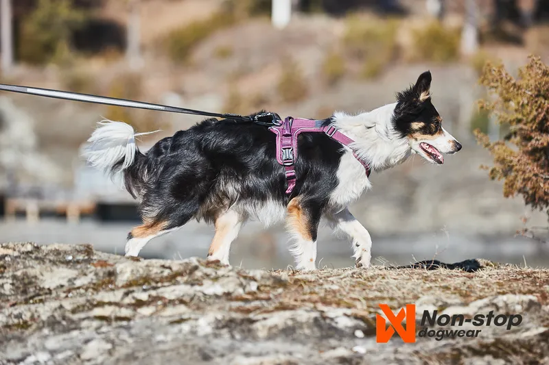 Ramble Hundsele Lila XL