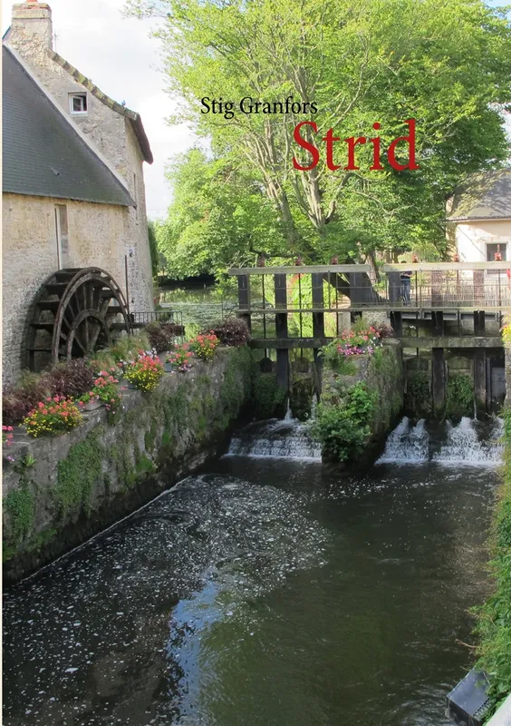Strid, E-bok