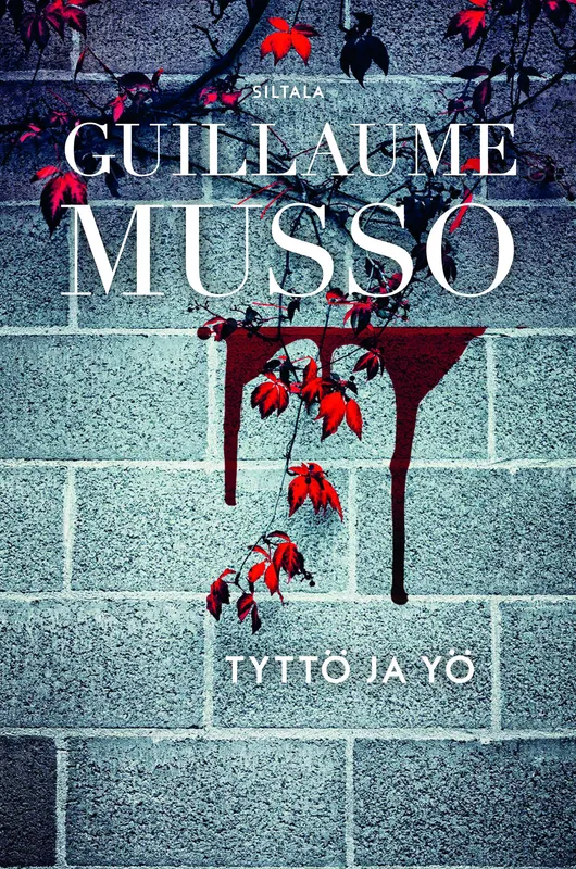 Tyttö ja yö, E-bok