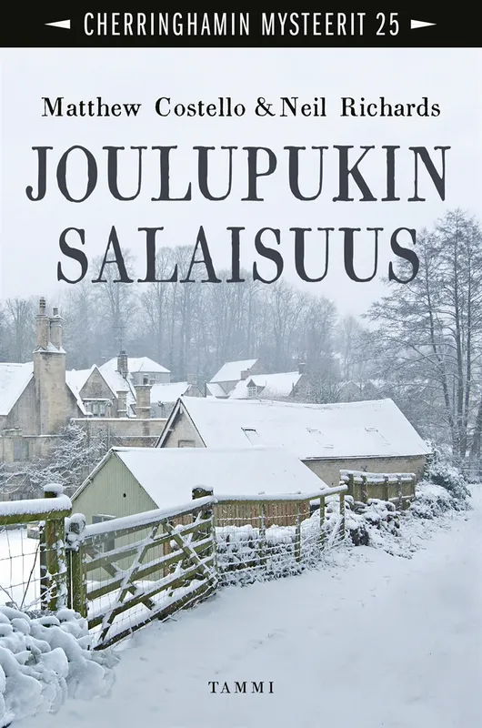 Joulupukin salaisuus, E-bok