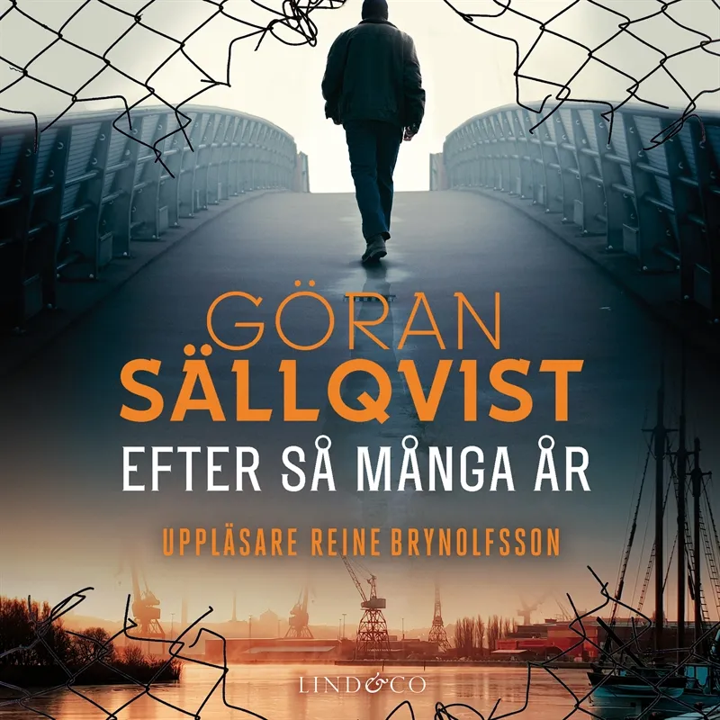 Efter så många år, Ljudbok