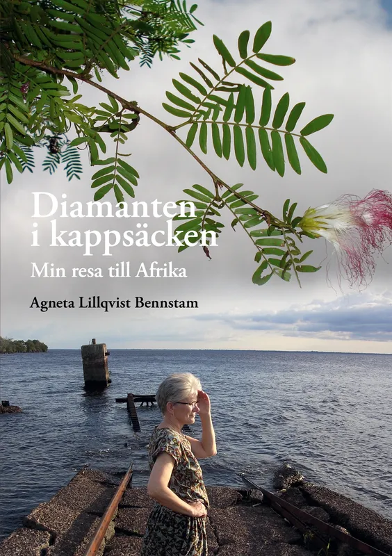 Diamanten i kappsäcken: Min resa till Afrika