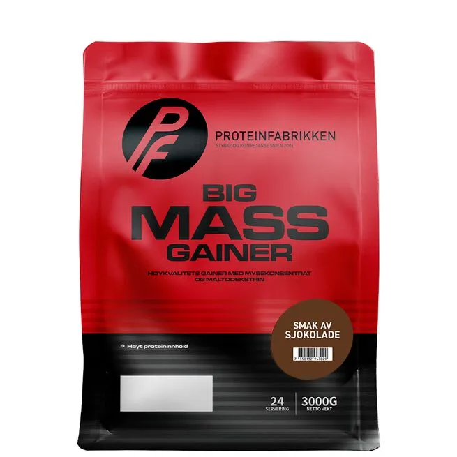 Big Mass Gainer, 3000 g - Jordbaer