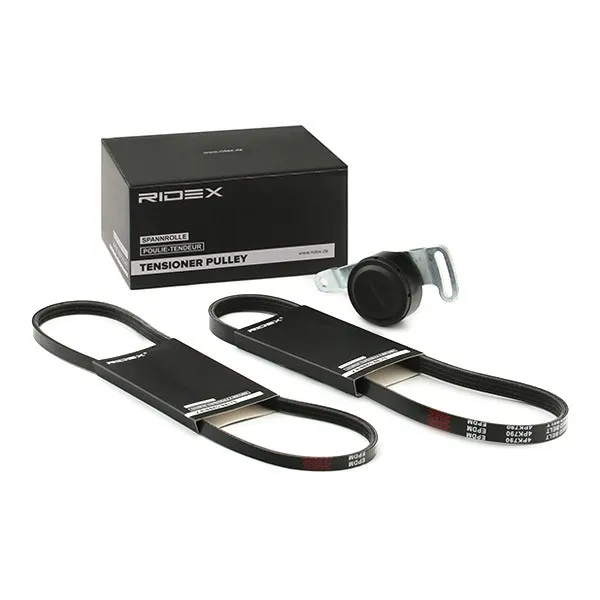 Drivremssats RIDEX 542R0276