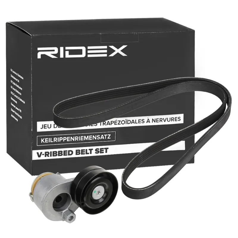 Drivremssats RIDEX 542R0179