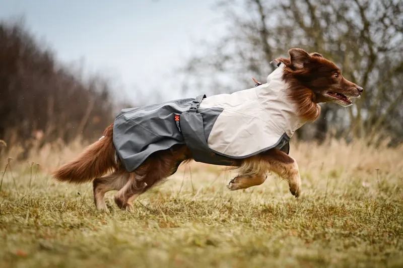 Fjord Raincoat 2.0 Regntäcke Grå 50