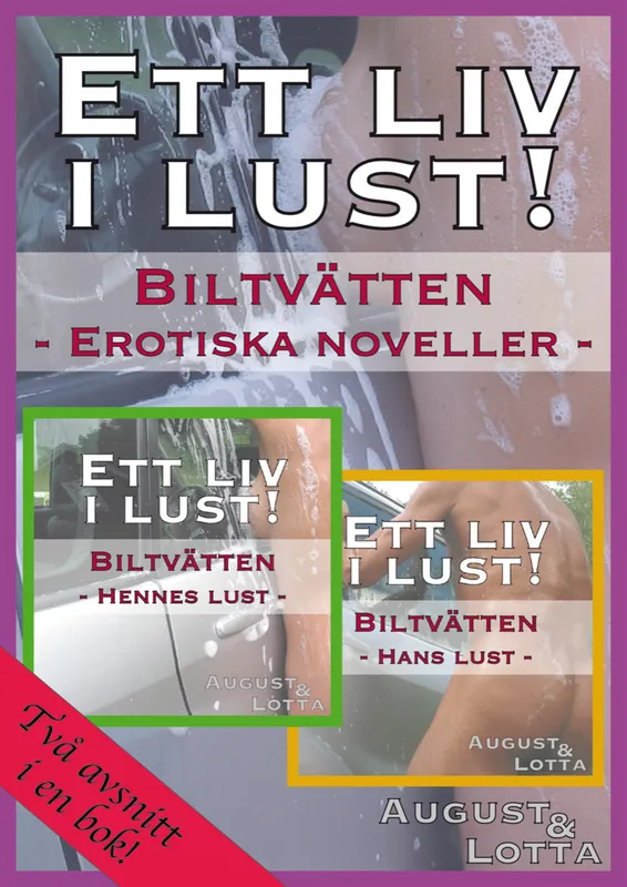 Biltvätten - erotiska noveller