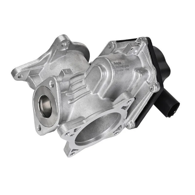 EGR-ventil DELPHI EG10757-12B1
