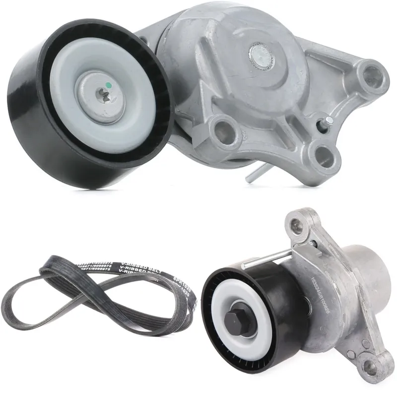Drivremssats RIDEX 542R1234
