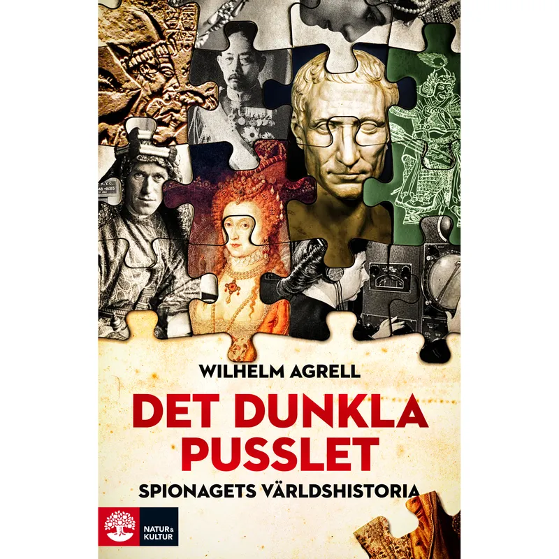 Det dunkla pusslet : Spionagets världshistoria