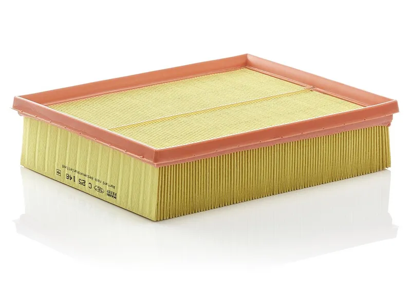 Luftfilter MANN-FILTER C 25 146