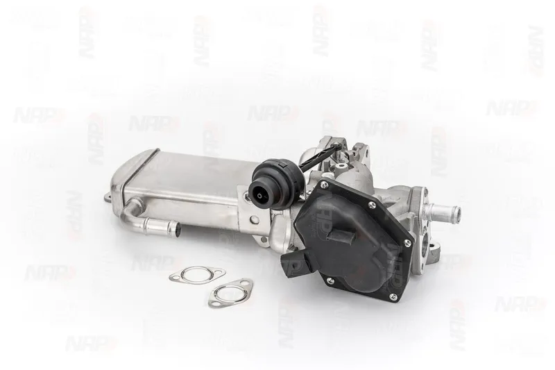 EGR-ventil NAP carparts CAV10116