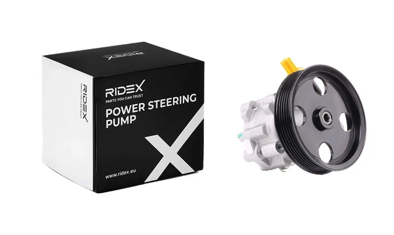 Servopump RIDEX 12H0079