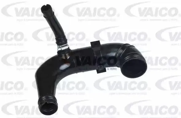 VAICO V24-0729 Laddluftslang