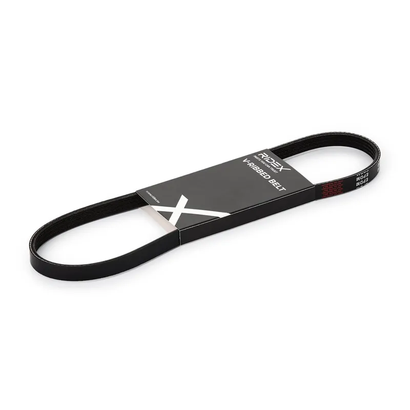 Multirem RIDEX 305P0009