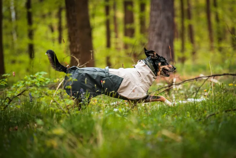 Fjord Raincoat 2.0 Regntäcke Grå 50