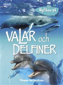 Nyfiken på valar och delfiner