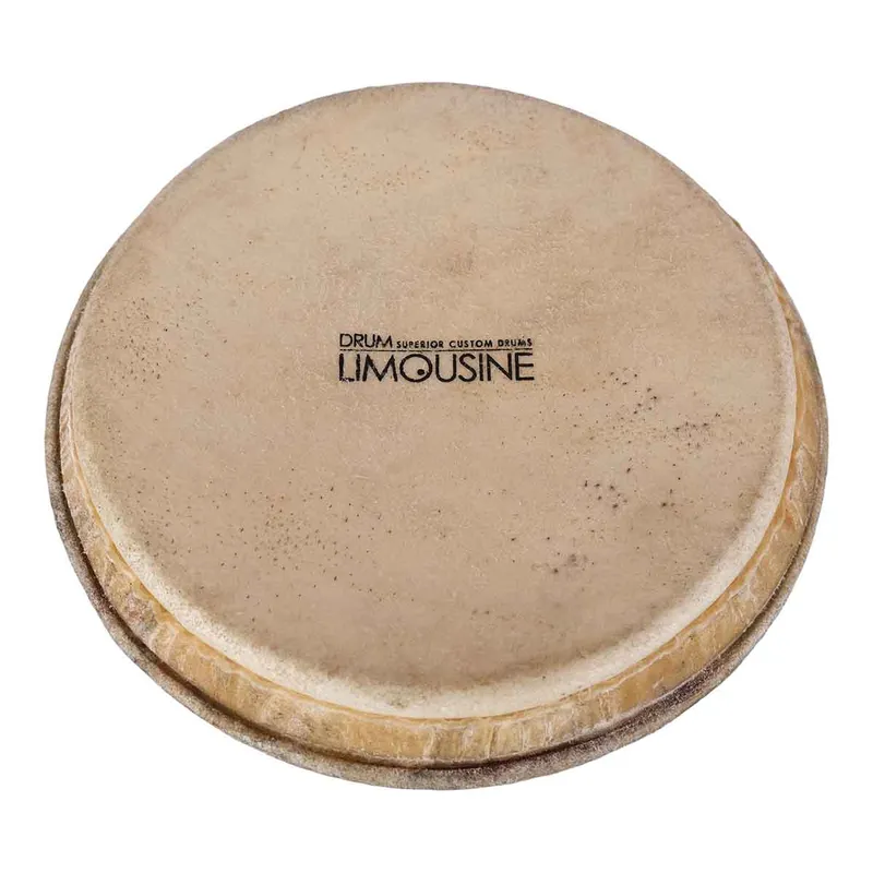 Drum Limousine TDP-HEAD7 skinn till Traditionell Pro bongo, 7