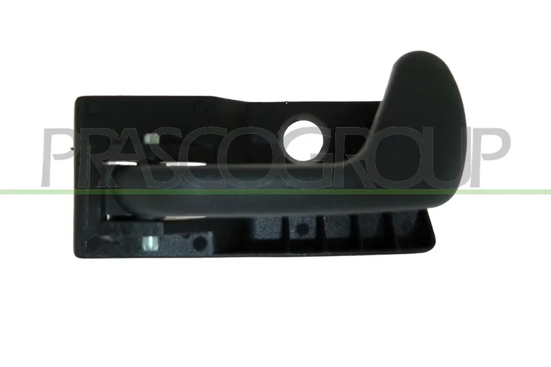 Dörrhandtag PRASCO FT1328402