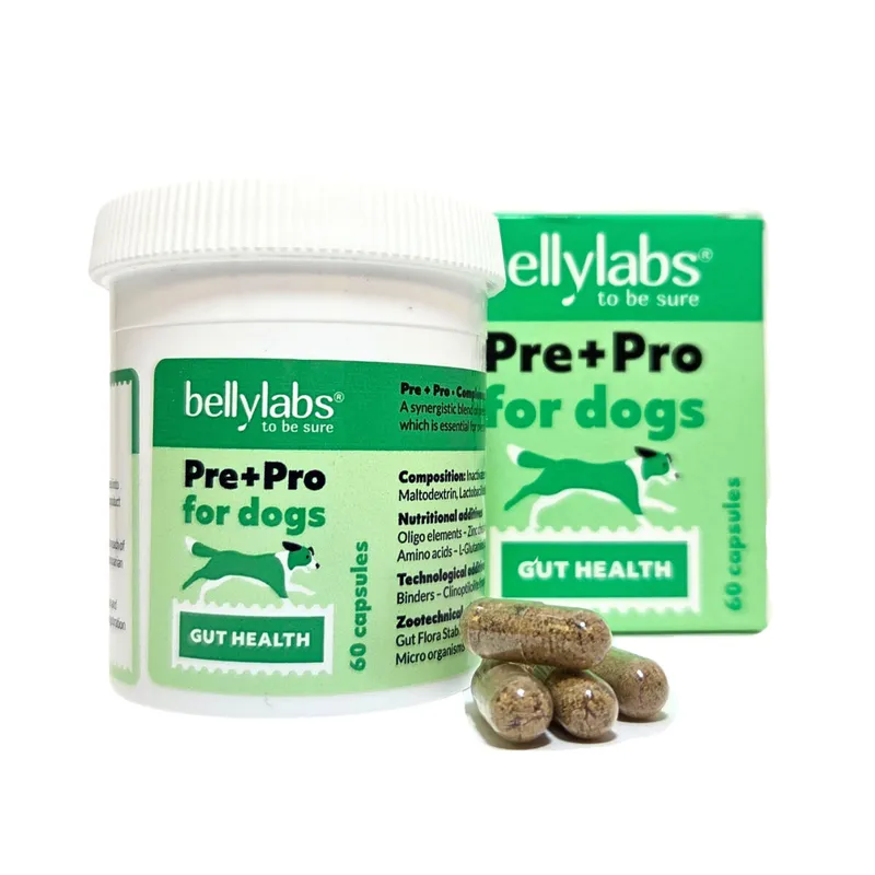 Bellylabs Pre+Pro för Hund 60 Kapslar
