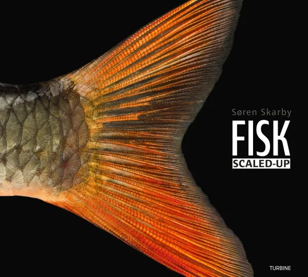 FISK - scaled-up