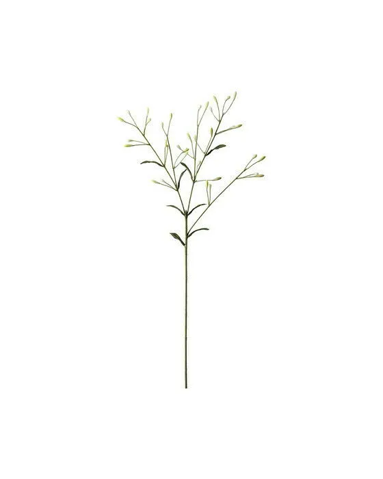 Bärkvist snittblomma vit