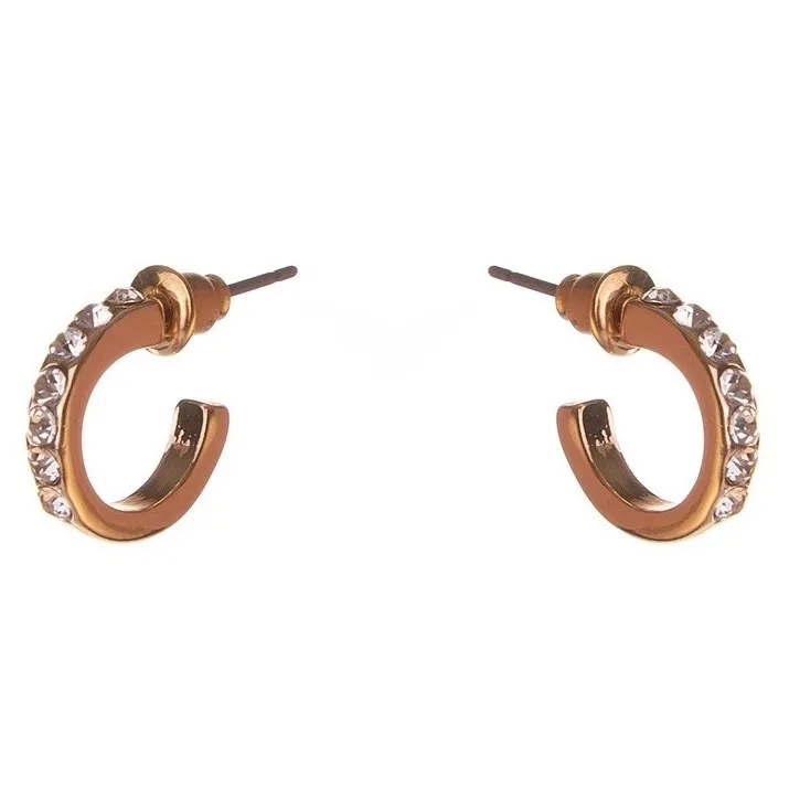 Dazzling Earrings Col Small Creole W Clear Crystals Gold