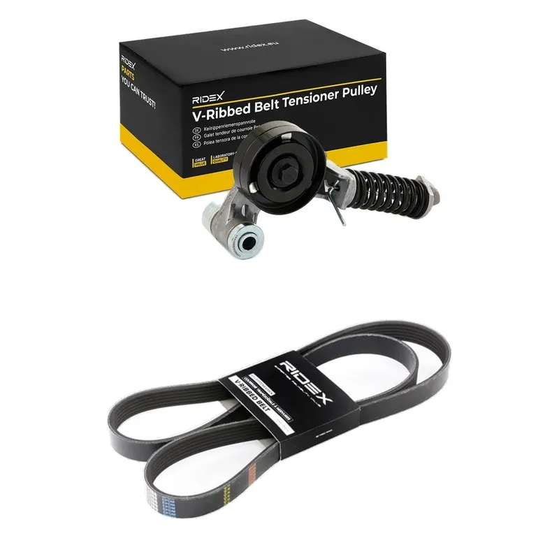 Drivremssats RIDEX 542R0820
