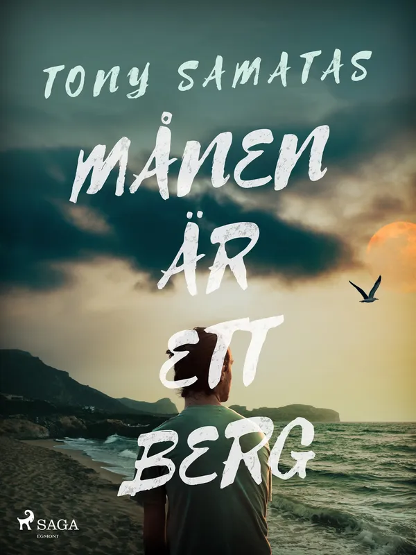 Månen är ett berg, E-bok