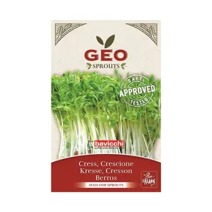 GEO GREENS - ekologisk krasse för groning 35 g