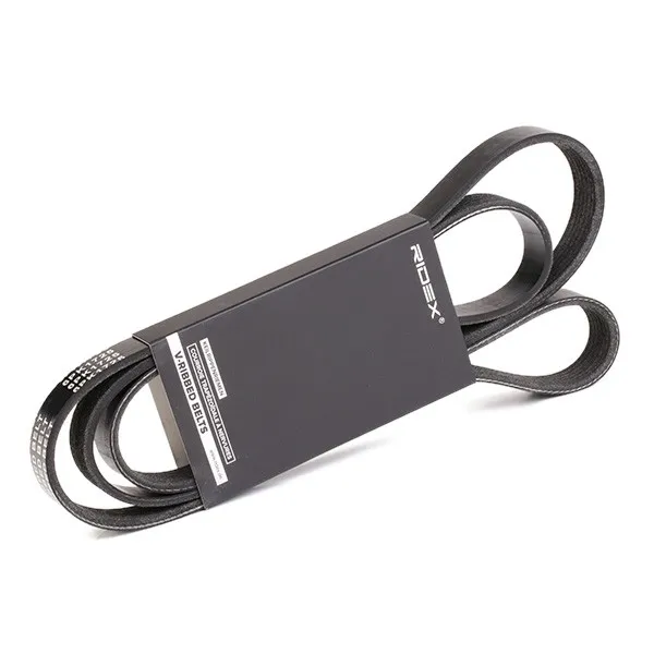 Multirem RIDEX 305P0171