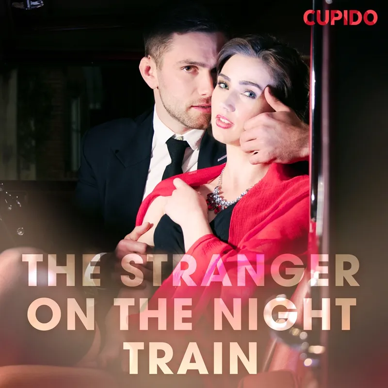 The Stranger on the Night Train, Ljudbok