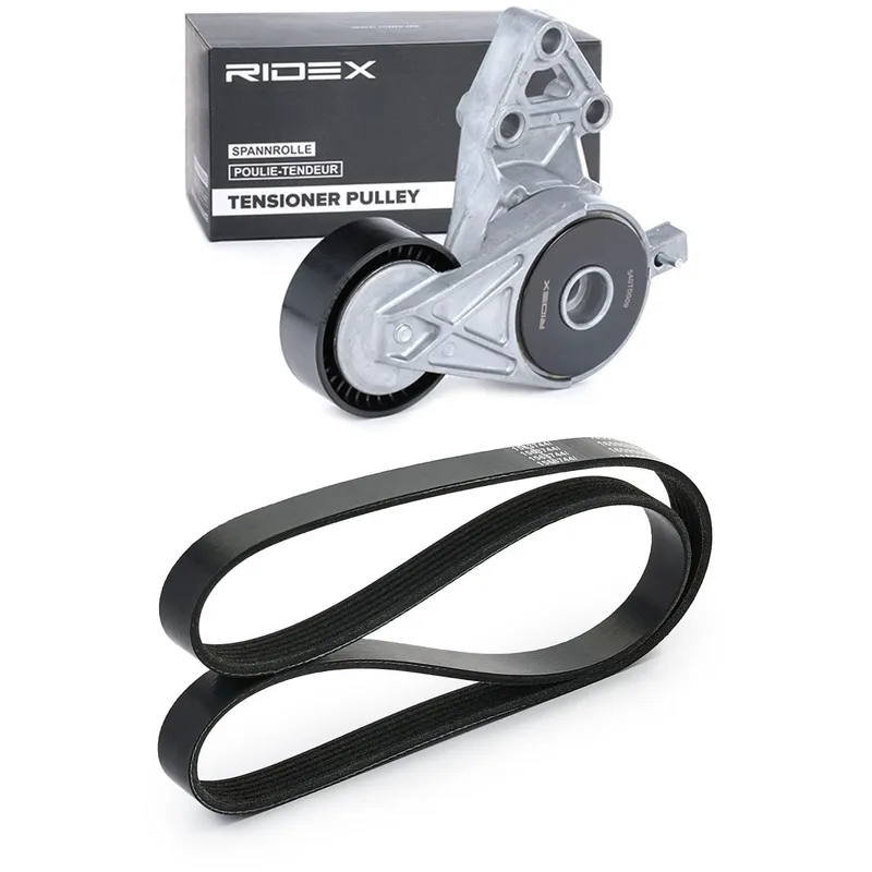 RIDEX 542R1350 Drivremssats